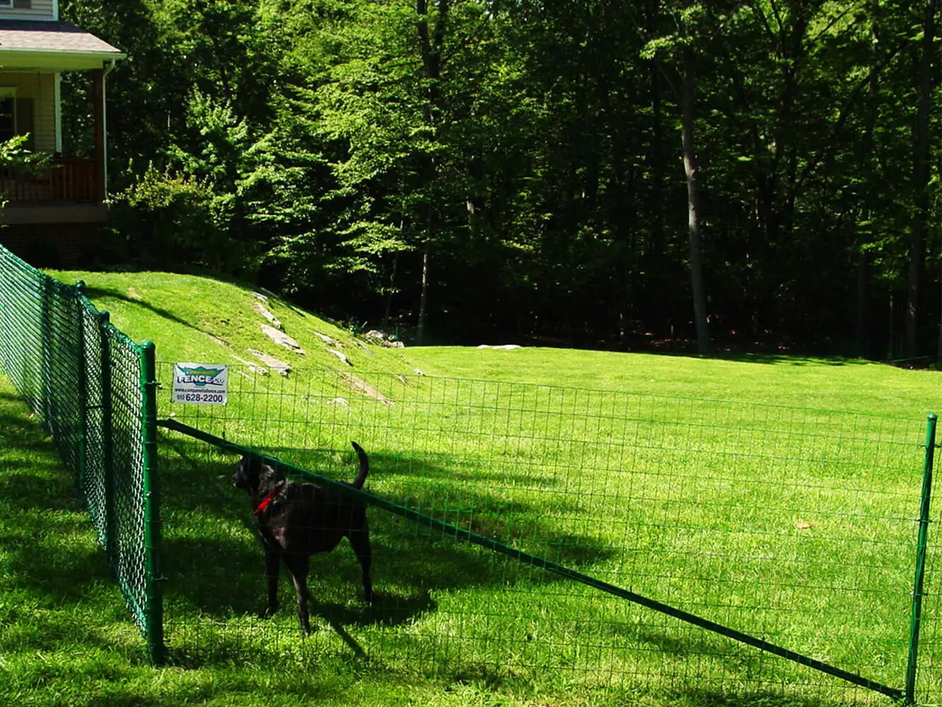 Pet fencing mahopac ny