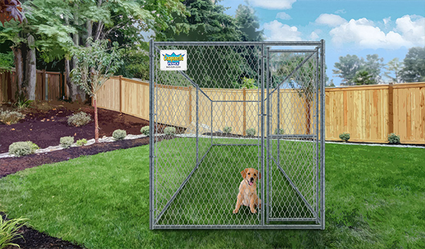 Chain Link fence - dog kennels