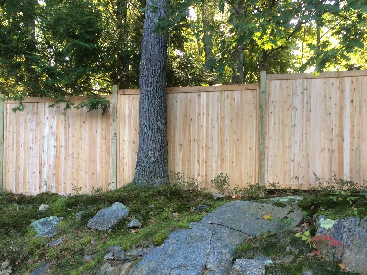 wood fence - Cedar Tongue & Groove style